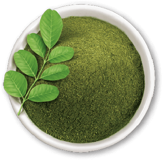 God Green