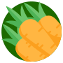 10x + Vitamina A